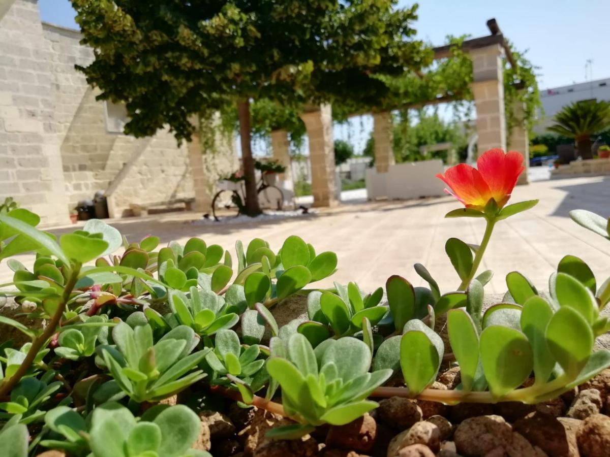 Il Giardino Del Tiglio Bed and Breakfast Uggiano La Chiesa Buitenkant foto