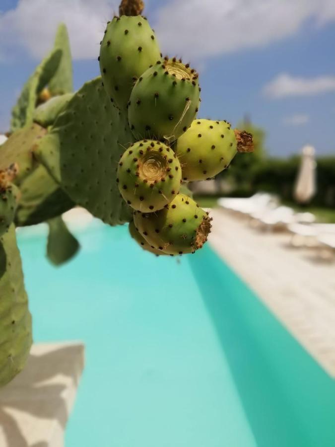 Il Giardino Del Tiglio Bed and Breakfast Uggiano La Chiesa Buitenkant foto